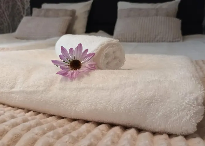 Halla * 罗瓦涅米